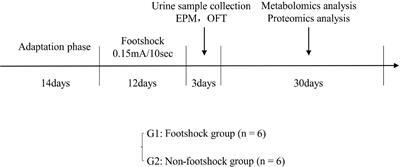 Integrated Metabolomics and Proteomics Analysis of Urine in a Mouse Model of Posttraumatic Stress Disorder